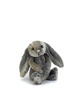 bashful cottontail bunny small