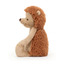 Bashful hedgehog original medium - Jellycat