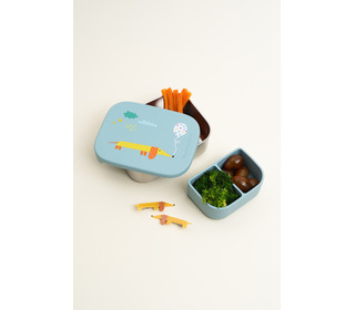 Stainless steel lunchbox with removable compartments - flying dog - The Cotton Cloud